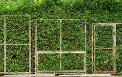 Garden Fence Ideas: 7 Stylish Ways to Combine Security and Natural Design