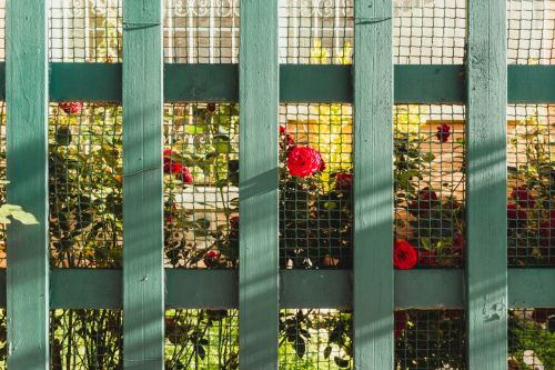 Garden Fence Ideas: 7 Stylish Ways to Combine Security and Natural Design