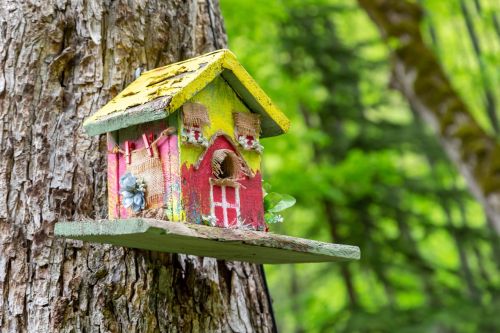  Making a Birdhouse for Your Garden