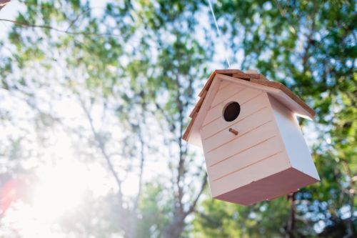  Making a Birdhouse for Your Garden