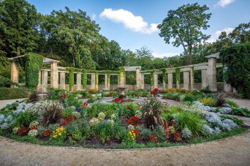 What Is Botany? The Importance of Plant Science in Nature and Its Areas of Use