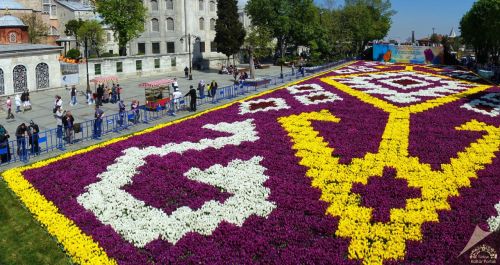 What Are Istanbul’s Natural Wonders? Top Places You Should Explore