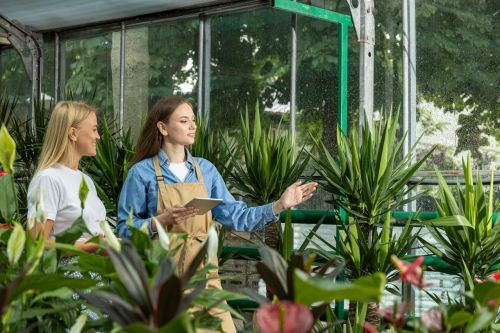 Explore Our Services At Cem Botanik 