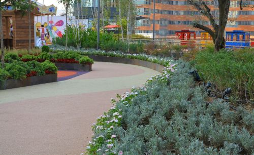 Water Garden