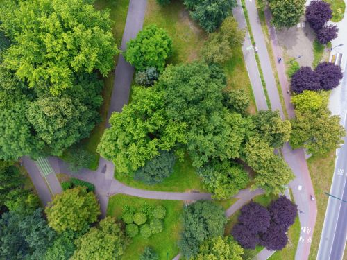 Yeşil Alan Nedir? Kent Yaşamında Önemi ve Planlama İpuçları